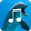 Relaxing Dolphin Sounds