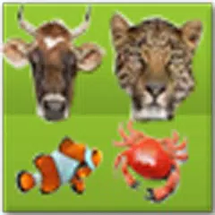 Скачать Animal Encyclopedia APK