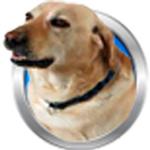 AnimalsKidz APK