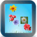 Flower Kidz APK