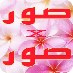 صور منوعة x صور متجددة