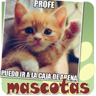 Memes de mascotas WhatApp y facebook Zeichen