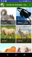 Sonido de Animales - Frances Plakat