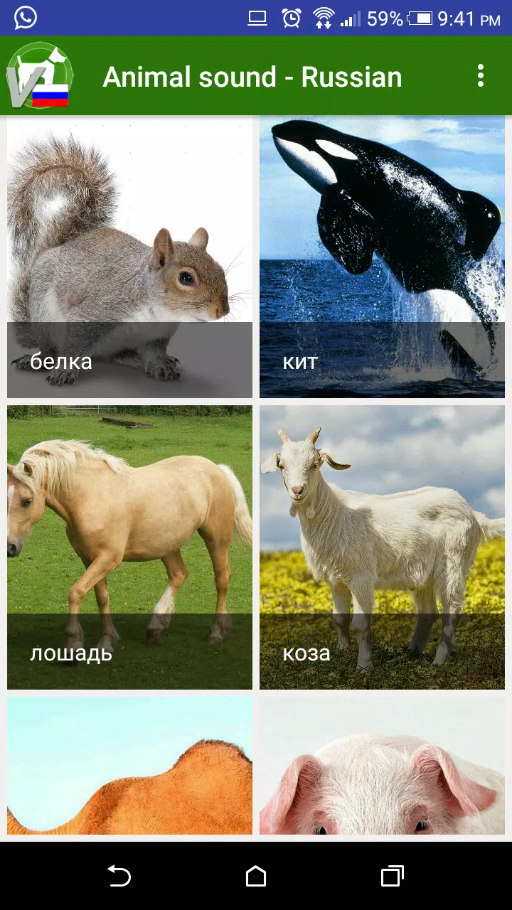 Animal sound - Russian APK for Android Download Animal sound - Russian APK for Android Download