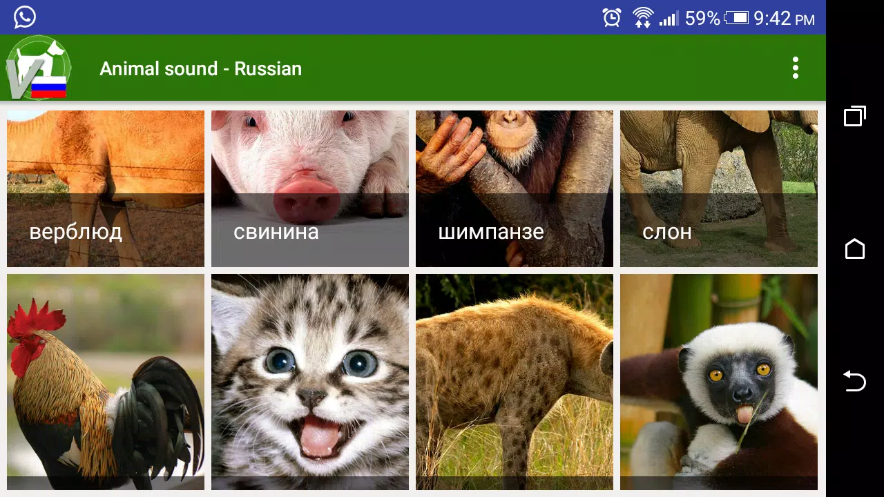 Animal sound - Russian APK for Android Download