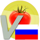 Vocabulaire russe - légumes APK