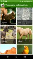 Vocabulario en ingles - Animales Plakat