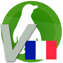 French Vocabulary - Animals 2 APK
