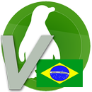 Vocabulary in Portuguese - Animals 2 APK