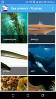 Russisch - Tiere Sea Plakat