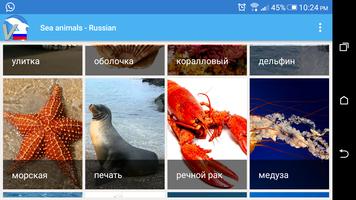 Russisch - Tiere Sea Screenshot 2