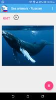 Russisch - Tiere Sea Screenshot 3
