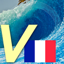 Vocabulario Francés - Playa APK