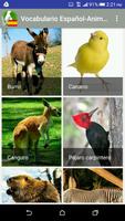 Vocabulario en español - Animales 2 Plakat