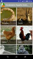 Vocabulario en español - Animales 2 Screenshot 2