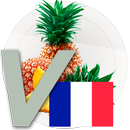 French vocabulary - fruits APK