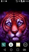 Bright tiger live wallpaper Affiche