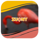 फ्लेमिंगो फोटो संग्रह APK