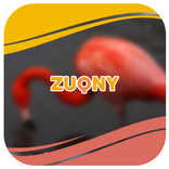 Flamingo Photo Collection