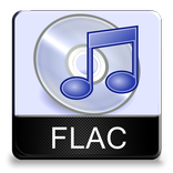 FLAC Audio Converter
