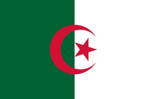 Algeria Flag poster