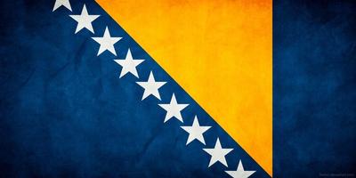 Bosnia Flag 海報