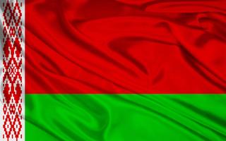 Belarus Flag screenshot 2