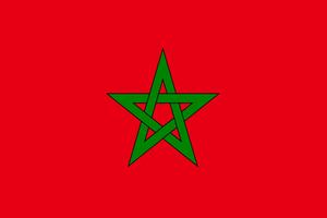 Morocco Flag 海報