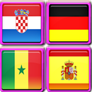 Fun with Country Flags APK