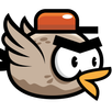 Birdy Bird Taps-APK