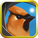 Camera Birds™ icono
