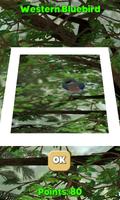 Camera Birds™ скриншот 1