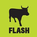 FLASH POS APK