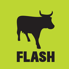 FLASH POS icon