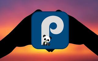 New Panda Music Radio 2018 capture d'écran 1
