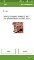 Anatomy imagem de tela 1