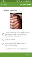 Anatomy Skeletal System screenshot 1