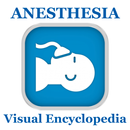 APK Cer.A.T Certified Anesthesia Technician Flashcard