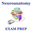 Neuroanatomy Exam Prep 2018 Edition APK