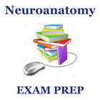 Neuroanatomy simgesi