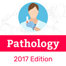 APK Pathology Flashcard 2018