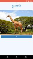 Learn the Animals Flash Cards Pro تصوير الشاشة 3