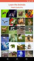 Learn the Animals Flash Cards Pro Affiche