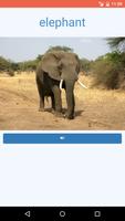 Learn the Animals Flash Cards Pro تصوير الشاشة 1