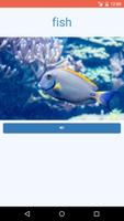 Learn the Animals Flash Cards Pro تصوير الشاشة 2