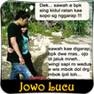 Gambar DP Jowo Lucu