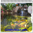 Fischteich-Entwurf APK