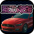 Engine sounds of Mustang