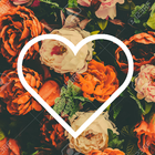 Love Tumblr Wallpapers 图标