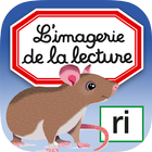 Imagerie lecture interactive أيقونة
